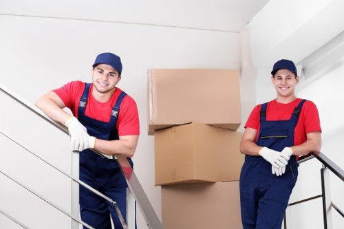 Professional movers carrying household items during a local house move