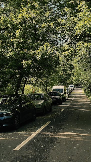 A view of Anerley Road in Crofton Park during daytime, showing parked cars lining the street and a historic clock tower building with a domed roof and spire in the background. The street is shaded by tall trees with green foliage, and the sky is partly cloudy with patches of blue. The scene depicts an urban environment suitable for residential, house removal, or furniture transport activities, with visible pavement, road markings, and street lighting. The image captures a typical setting for home relocation processes and the logistics involved in loading or unloading furniture and boxes in a residential area, consistent with professional removals services provided by Man with Van Crofton Park.