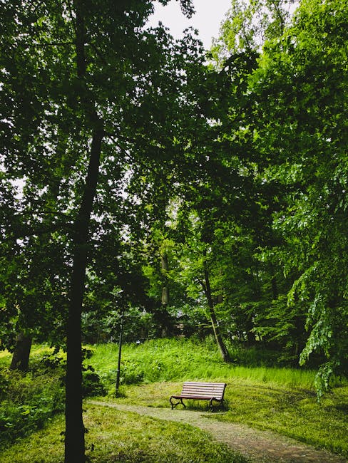 A wooded outdoor scene featuring tall trees with dense green foliage and sunlight filtering through the leaves. In the foreground, there is a narrow dirt path leading to a wooden park bench positioned on a grassy clearing. The bench is placed along the path, facing into the greenery, and appears to be used for relaxation or resting during a walk. The surrounding area is lush with grass, and a lamp post is visible near the bench, hinting at a maintained park or garden setting. The overall environment suggests a peaceful, natural location suitable for outdoor activities, with a backdrop of mature trees and vibrant greenery, which could be part of a landscaped area used for community or recreational purposes, relevant to services such as home relocation or moving logistics.