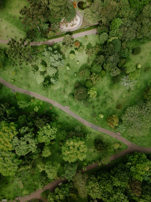 A serene outdoor scene in a park with a winding dirt path surrounded by lush green trees, some with yellowing leaves indicating early autumn. A weathered wooden park bench is positioned on the left side of the path, partially shaded by the overhanging branches. The ground shows scattered fallen leaves and small stones, with the path extending into the distance under the canopy of trees. The sunlight filters through the foliage, creating dappled light and shadow patterns on the ground. The environment appears calm and well-maintained, typical of a public green space used for walking and outdoor relaxation, relevant to the context of home relocation and moving logistics offered by Man with Van Crofton Park.