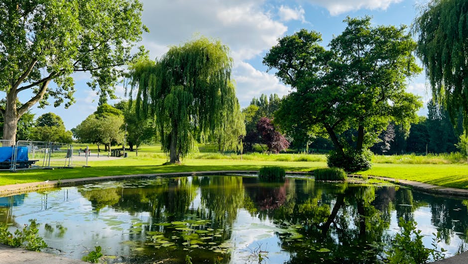 A serene park scene featuring a calm pond with water lilies and surrounding lush green trees, including a prominent weeping willow with long, drooping branches near the pond’s edge. In the background, there is a clear blue sky with scattered white clouds and neatly maintained grassy areas. On the left side, a large metal container, possibly for equipment or storage, is visible adjacent to a pathway or paved area. The setting appears to be part of a public outdoor space suitable for events or leisure activities, with natural landscaping and open space. This tranquil environment can be associated with the kind of outdoor areas where house removals or relocation services, such as those provided by Man with Van Crofton Park, might involve planning for access or logistics for home moves.