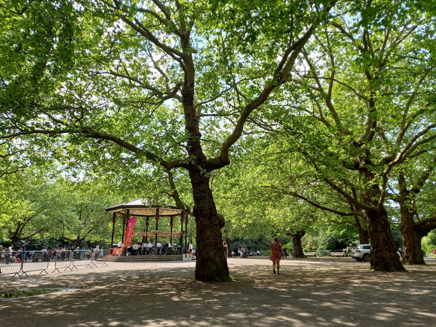 A serene park scene featuring a calm pond with water lilies and surrounding lush green trees, including a prominent weeping willow with long, drooping branches near the pond’s edge. In the background, there is a clear blue sky with scattered white clouds and neatly maintained grassy areas. On the left side, a large metal container, possibly for equipment or storage, is visible adjacent to a pathway or paved area. The setting appears to be part of a public outdoor space suitable for events or leisure activities, with natural landscaping and open space. This tranquil environment can be associated with the kind of outdoor areas where house removals or relocation services, such as those provided by Man with Van Crofton Park, might involve planning for access or logistics for home moves.