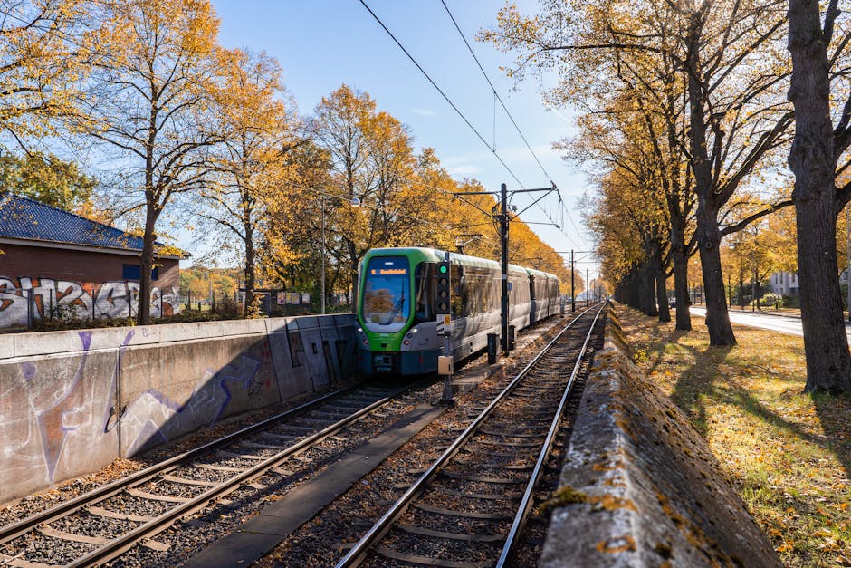 A modern green and white tram moving along railway tracks adjacent to a tree-lined street during autumn, with yellowing leaves on the trees and on the ground. The tram is positioned towards the left side of the image, approaching the viewer, with overhead electric cables visible above. To the left, there is a brick building with graffiti on the wall, and beneath the trees on the right, a sidewalk runs parallel to the tracks. The scene is well-lit with natural daylight, highlighting the seasonal foliage and the surroundings, which include elements associated with urban transportation and home relocation logistics, as managed by Man with Van Crofton Park.